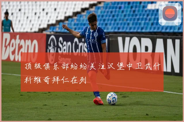 顶级俱乐部纷纷关注汉堡中卫武什科维奇拜仁在列