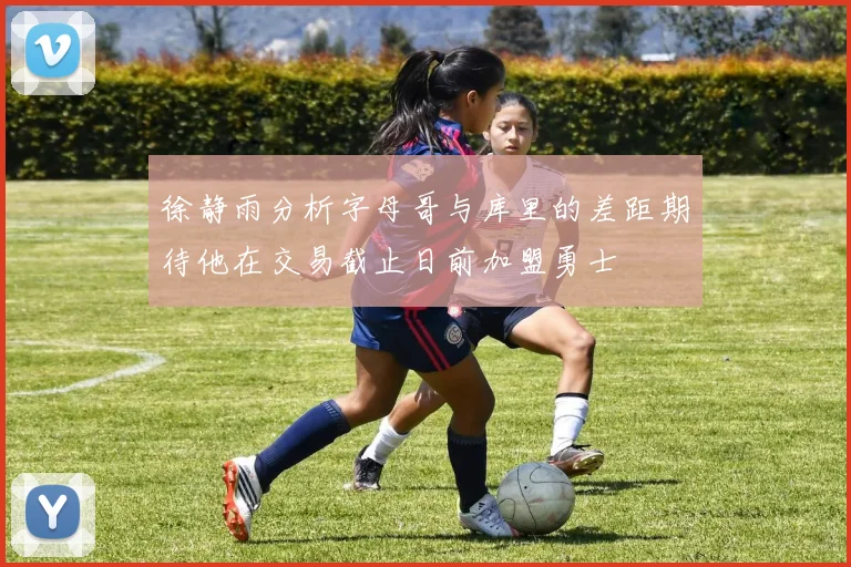 徐静雨分析字母哥与库里的差距期待他在交易截止日前加盟勇士